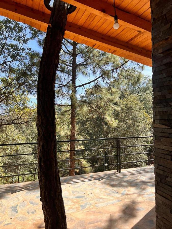 Cabana "Alexa", En El Corazon Del Bosque De Mazamitla Exterior photo