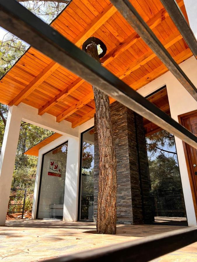 Cabana "Alexa", En El Corazon Del Bosque De Mazamitla Exterior photo