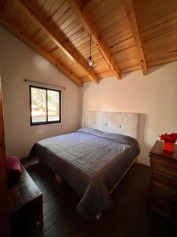 Cabana "Alexa", En El Corazon Del Bosque De Mazamitla Exterior photo